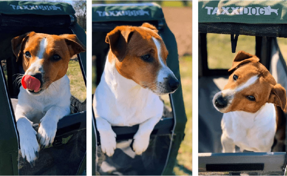 TaXXI Vozík pro psa M tmavě šedá/tmavě zelená