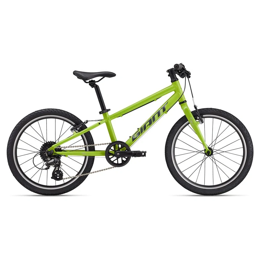 Giant ARX 20 Lime Punch