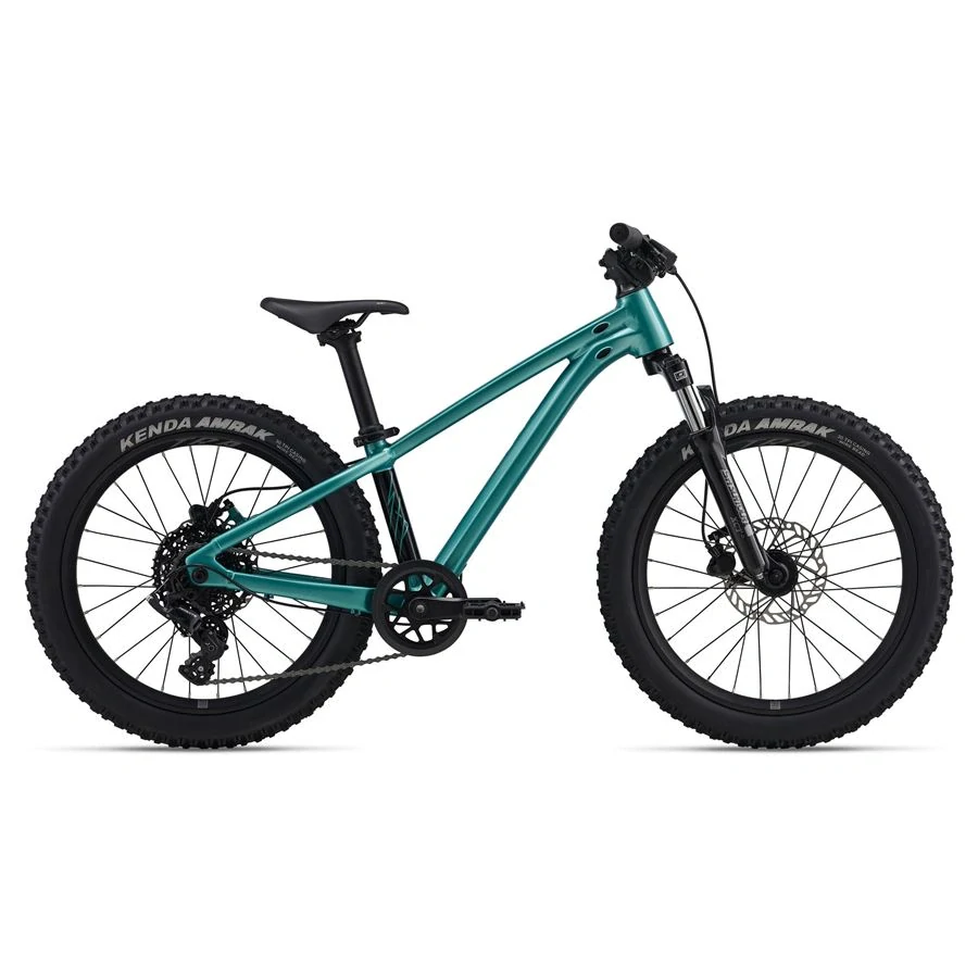Giant STP 20 FS-Giant Teal