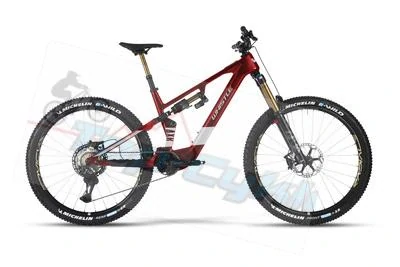Whistle EBIKE AXR C10.7 RED/GREY