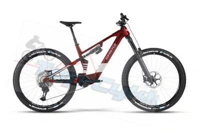 Whistle EBIKE AXR C8.7 RED/GREY