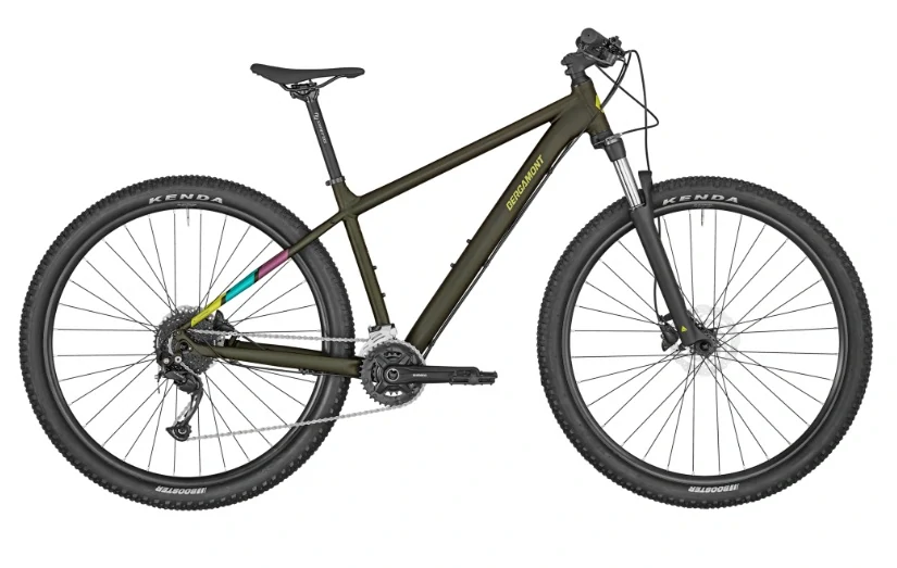 Bergamont Revox 5