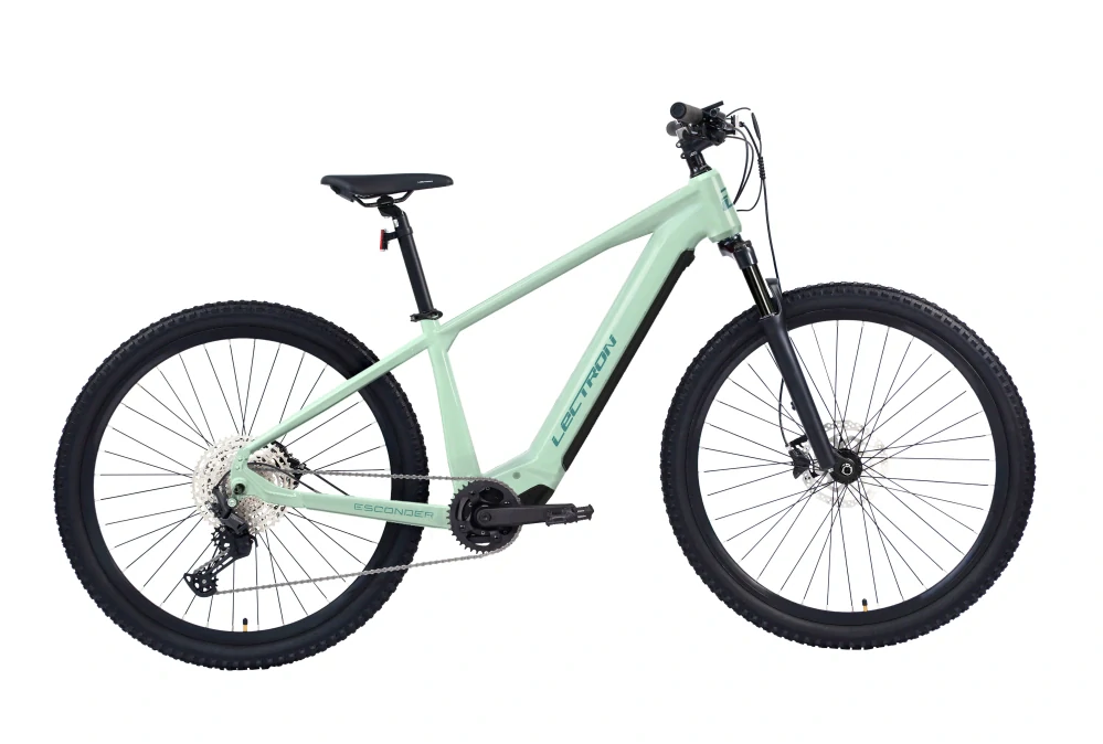 Lectron Esconder AX 29" Mint