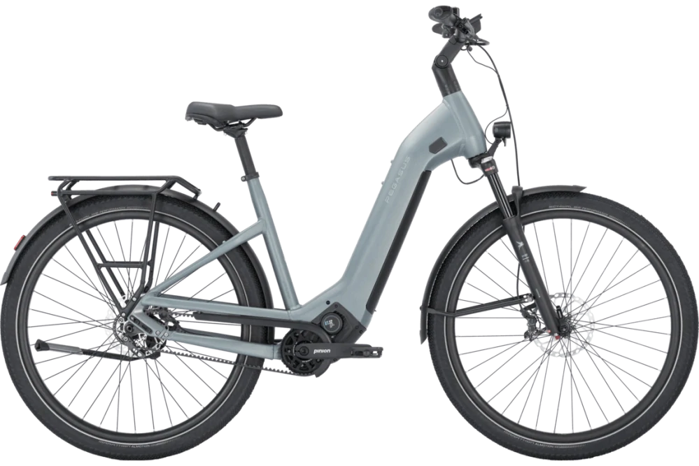 Pegasus Estremo Evo 12 Lite WA Basis