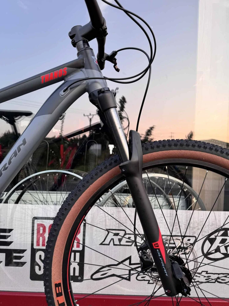 Horské kolo THANOS 29" šedá