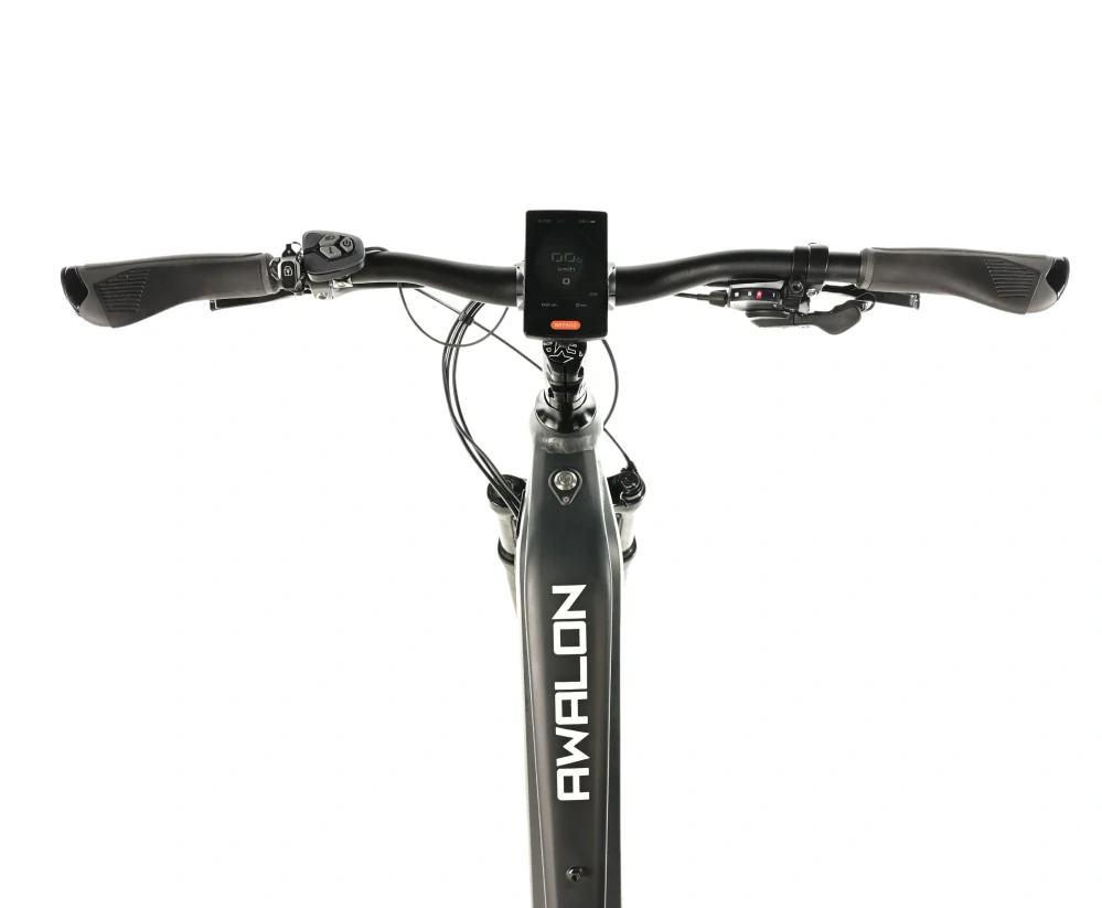 Leader Fox AWALON DÁMSKÝ 29",BAFANG M420,M:2025-1