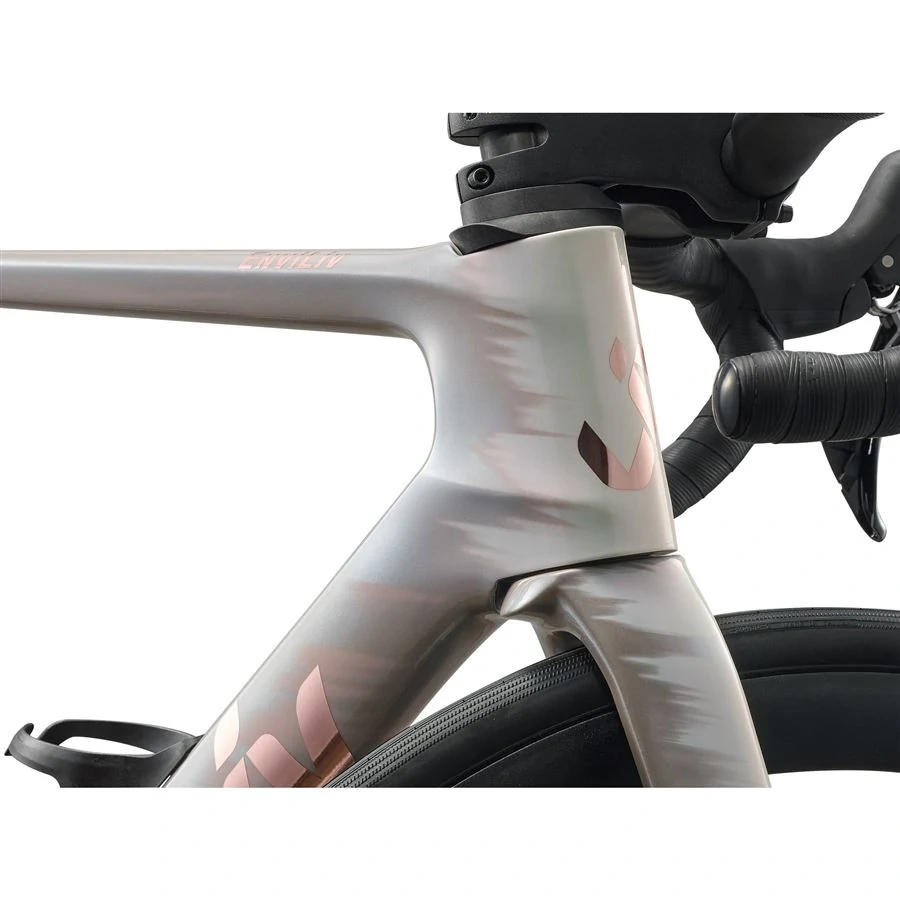 Giant EnviLiv Advanced 2 Camel Silk