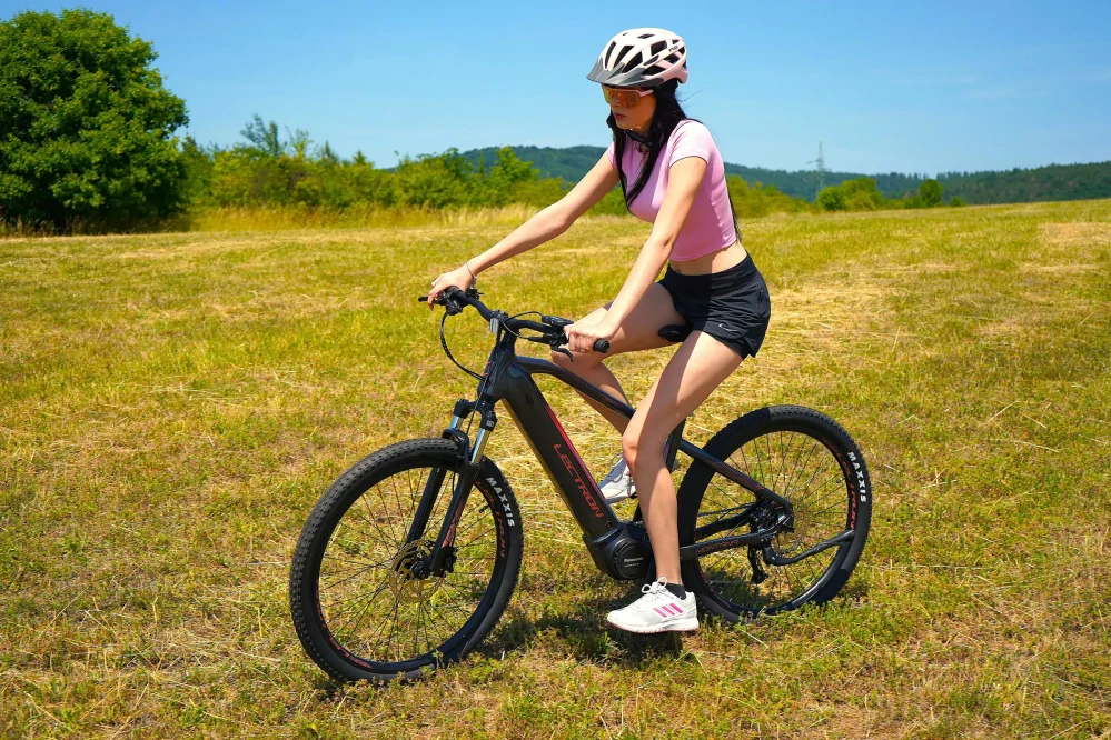 Lectron Montana PX 20 Ah Rosa