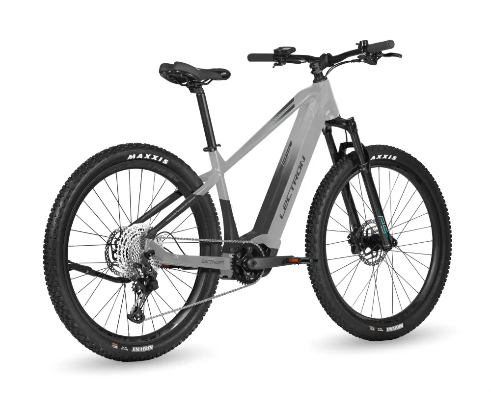 Lectron Esconder PS 19" 800 Wh