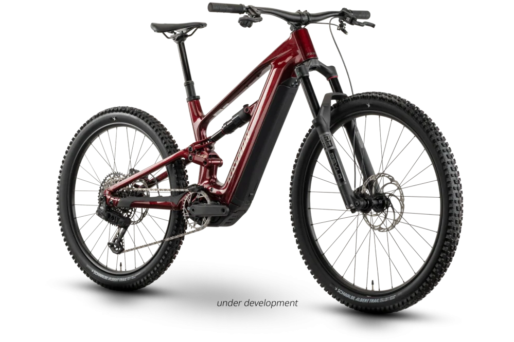 Raymon Ravor Pro
