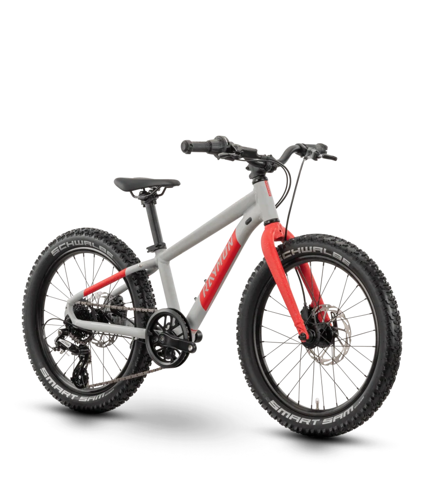 Raymon Yanga 20 Pro
