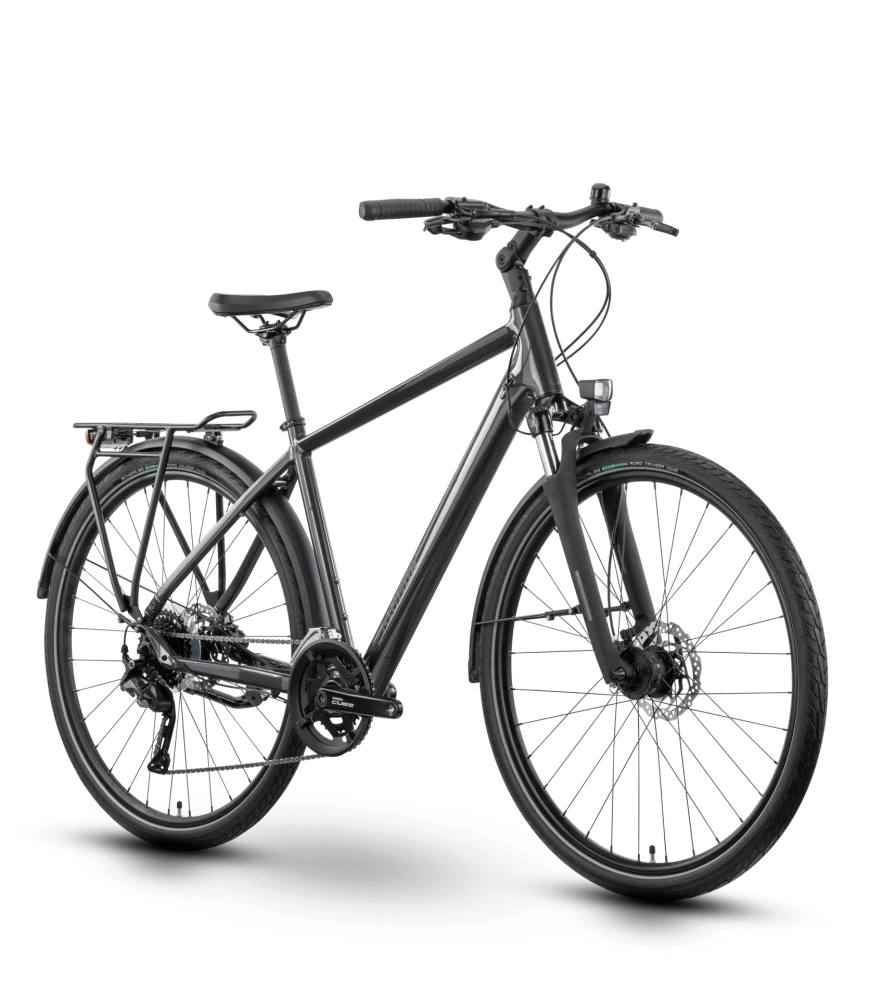 Raymon Zayn Pro Diamant 