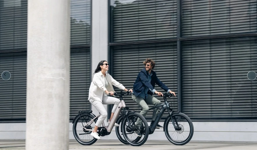 STEPPENWOLF Transterra Easy 9.1 DJI titanium grey gloss