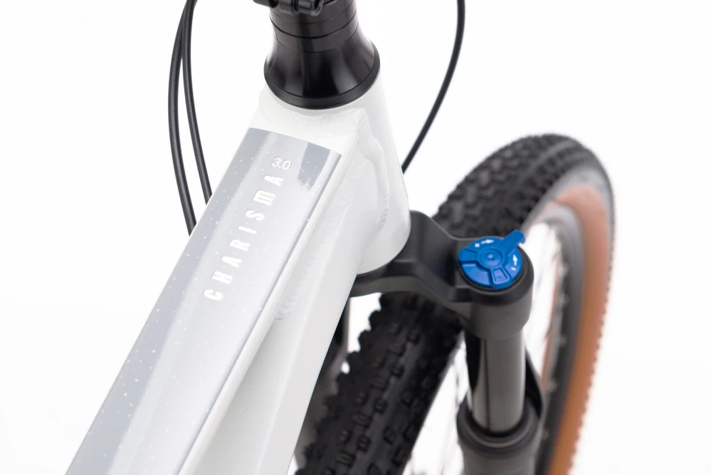 CTM CHARISMA 3.0 29 - matná svetlošedá