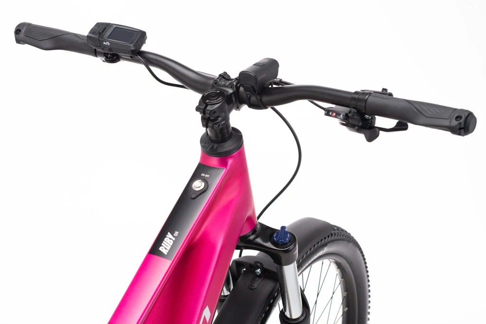 CTM RUBY GX 29" E-Allroad - matná růžová