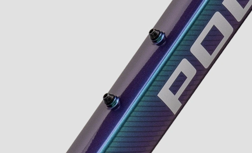 Polygon PATH 4 chameleon / purple