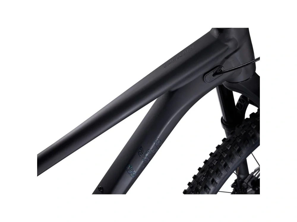 Giant LIV Embolden 29 1 Black