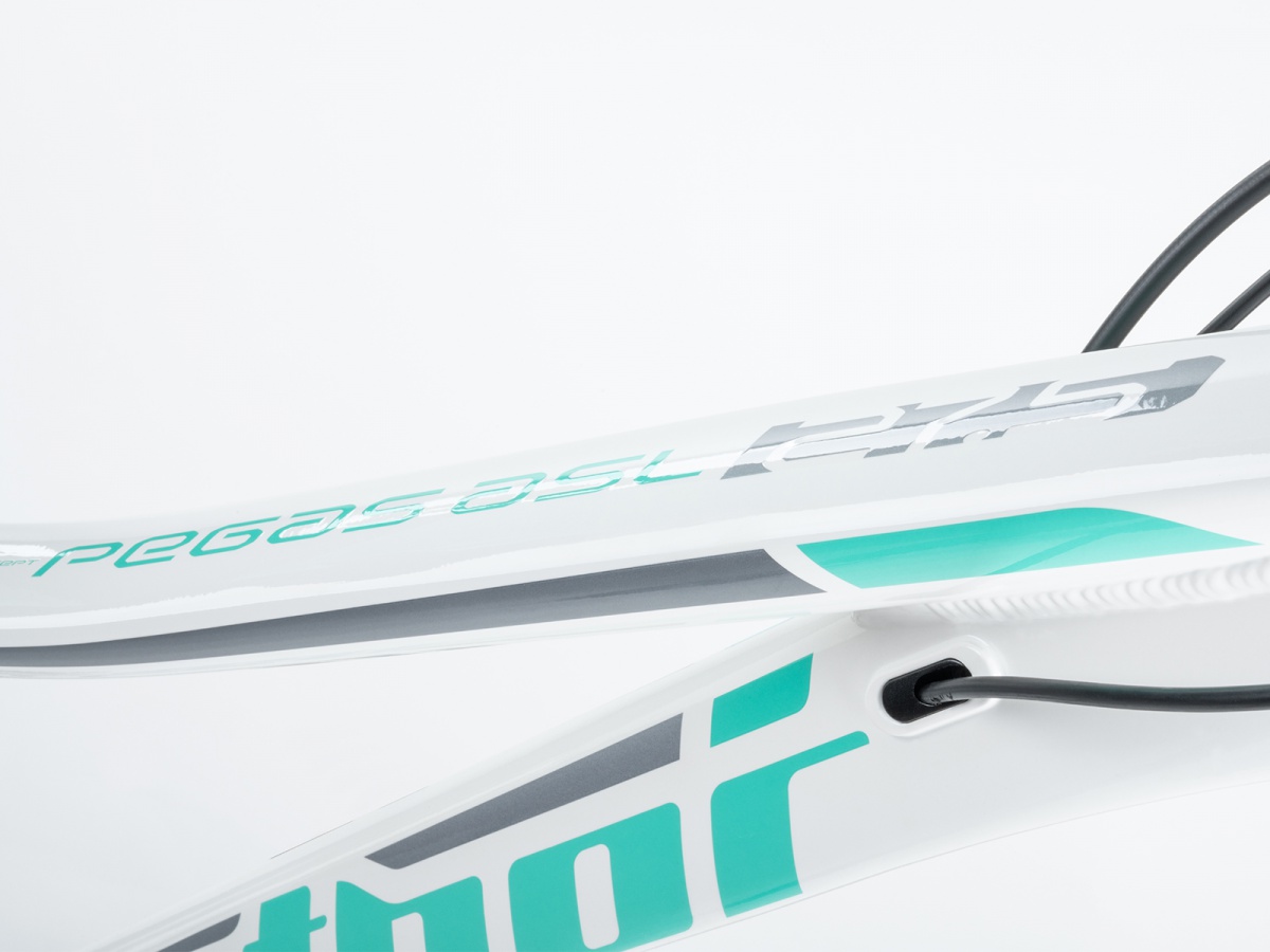 Author Pegas 27,5 ASL 2023-24 bílá/stříbrná/zelená