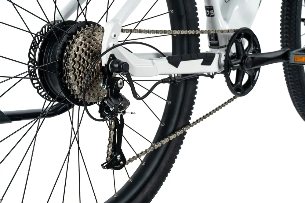 Leader Fox ARIMO DÁMSKÉ 29", ZADNÍ MOTOR, M:2024-1