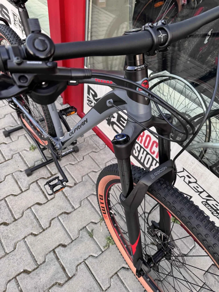 Horské kolo THANOS 29" šedá