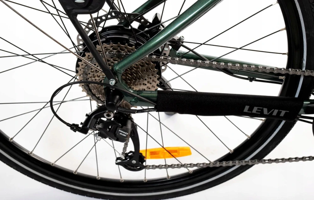 Levit MUSCA HD 630 over green gray pearl