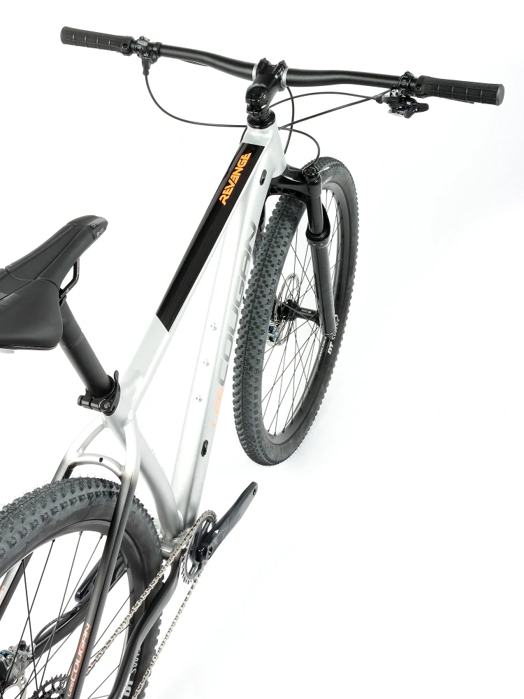 Kolo MTB 29" Lee Cougan Revenge SRAM X01 Eagle 1x12 stříbrno-černá matná