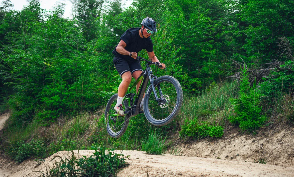 Lectron Esconder FSX