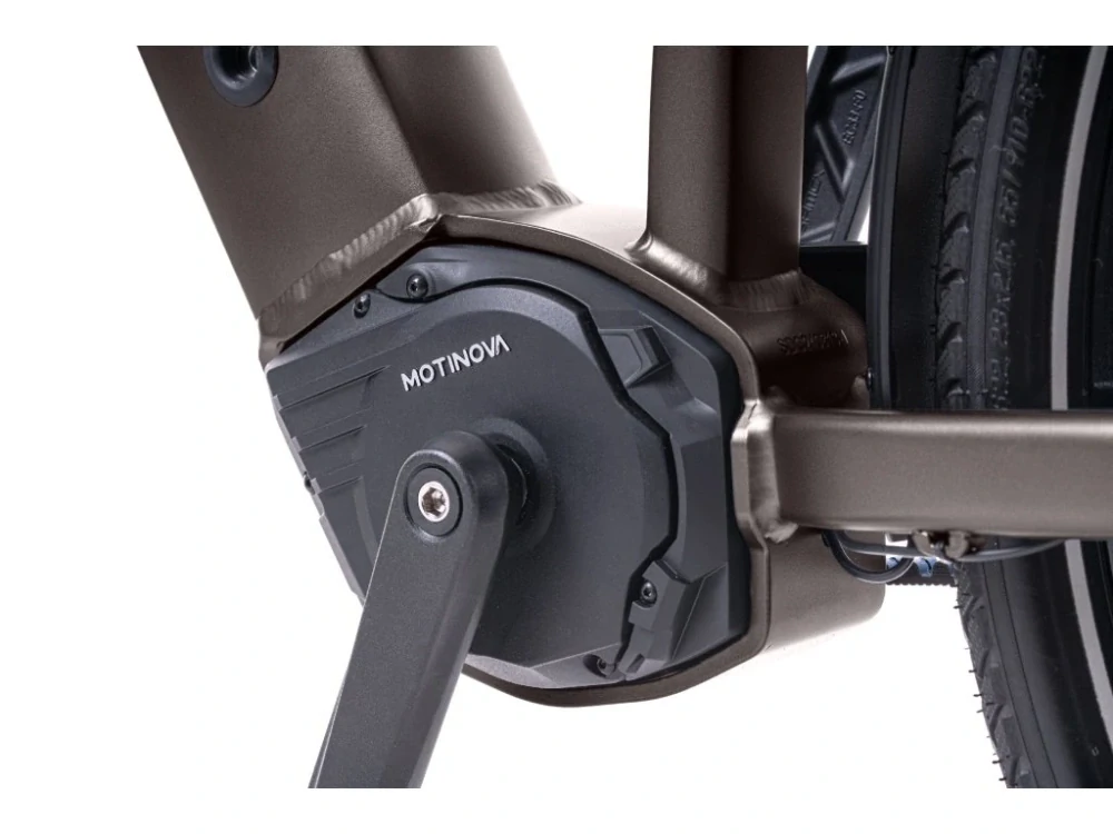 LEVIT BELECO 3 lowstep allspice