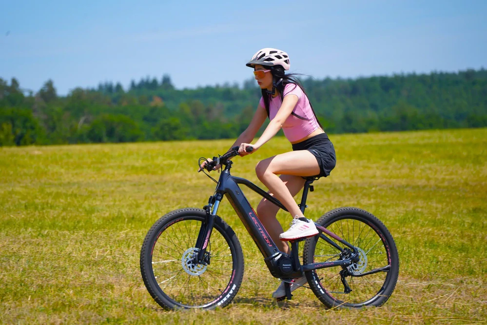 Lectron Montana PX 20 Ah Rosa