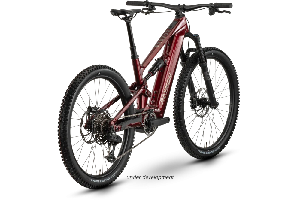 Raymon Ravor Pro