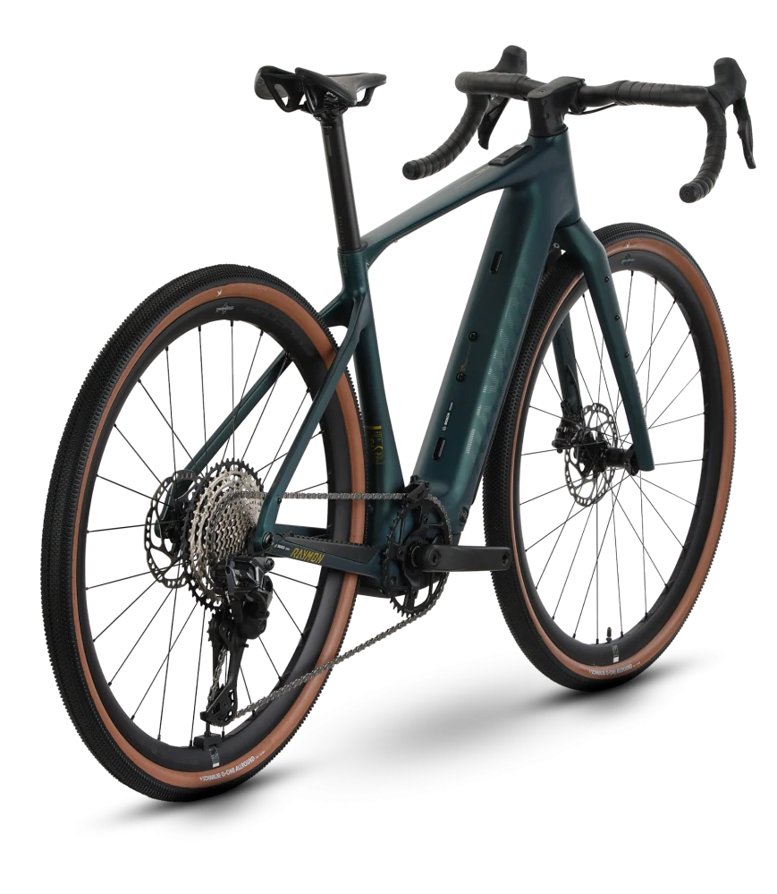 Raymon Norza Pro
