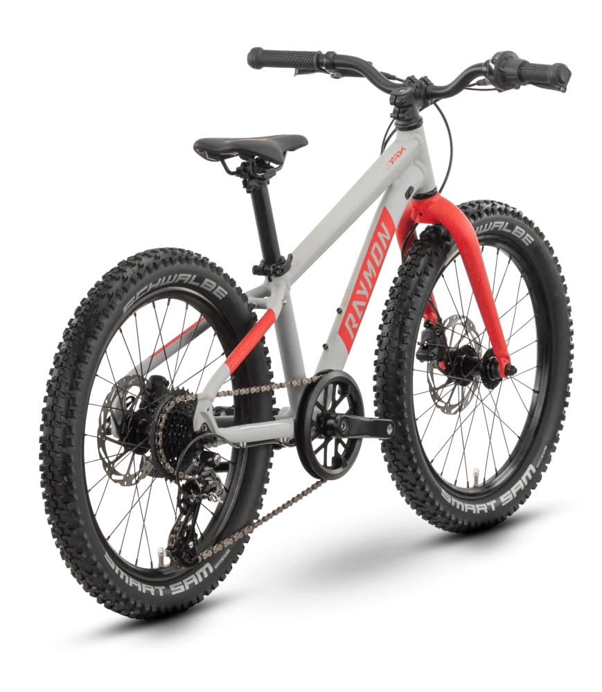 Raymon Yanga 20 Pro