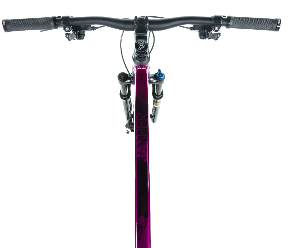 Leader Fox JASPER 29" fialová
