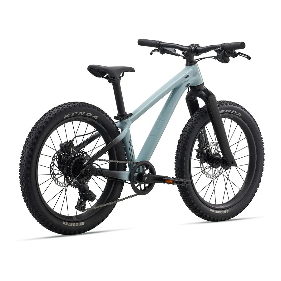 Giant STP 20-LIV Soap Suds