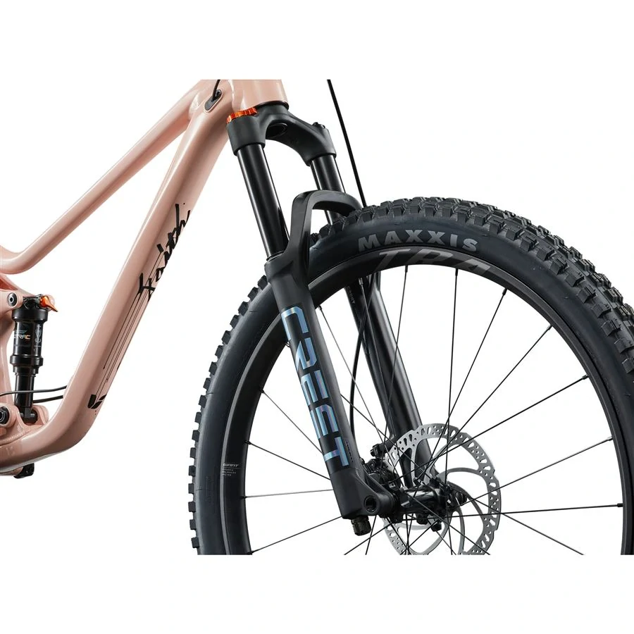 Giant Faith-Liv One Radiant Pink