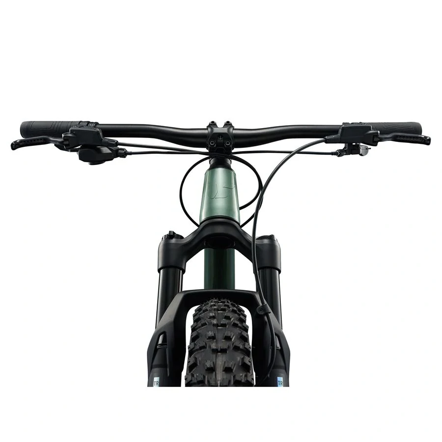 Giant STP 24-LIV Alpine Green 