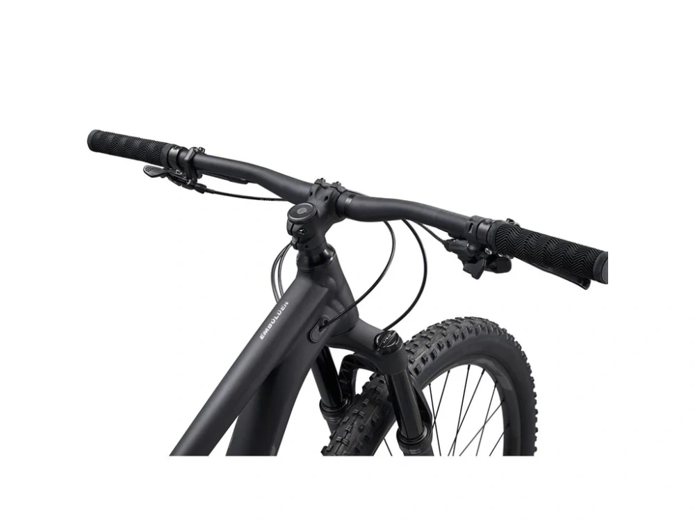 Giant LIV Embolden 29 1 Black