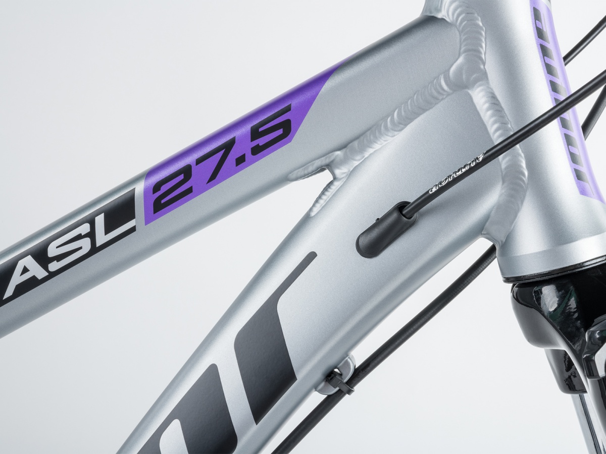 Author Solution 27,5 ASL 2023-24 - stříbrná-matná/černá-matná