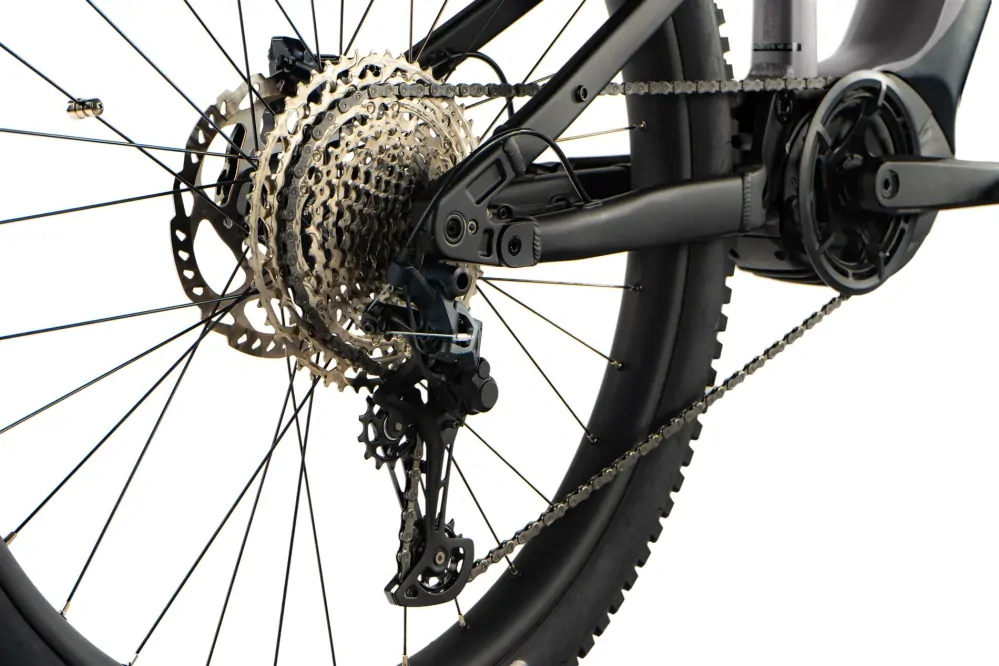 Leader Fox ARGUS 29", PANASONIC GX ULTIMATE, M:2024-1