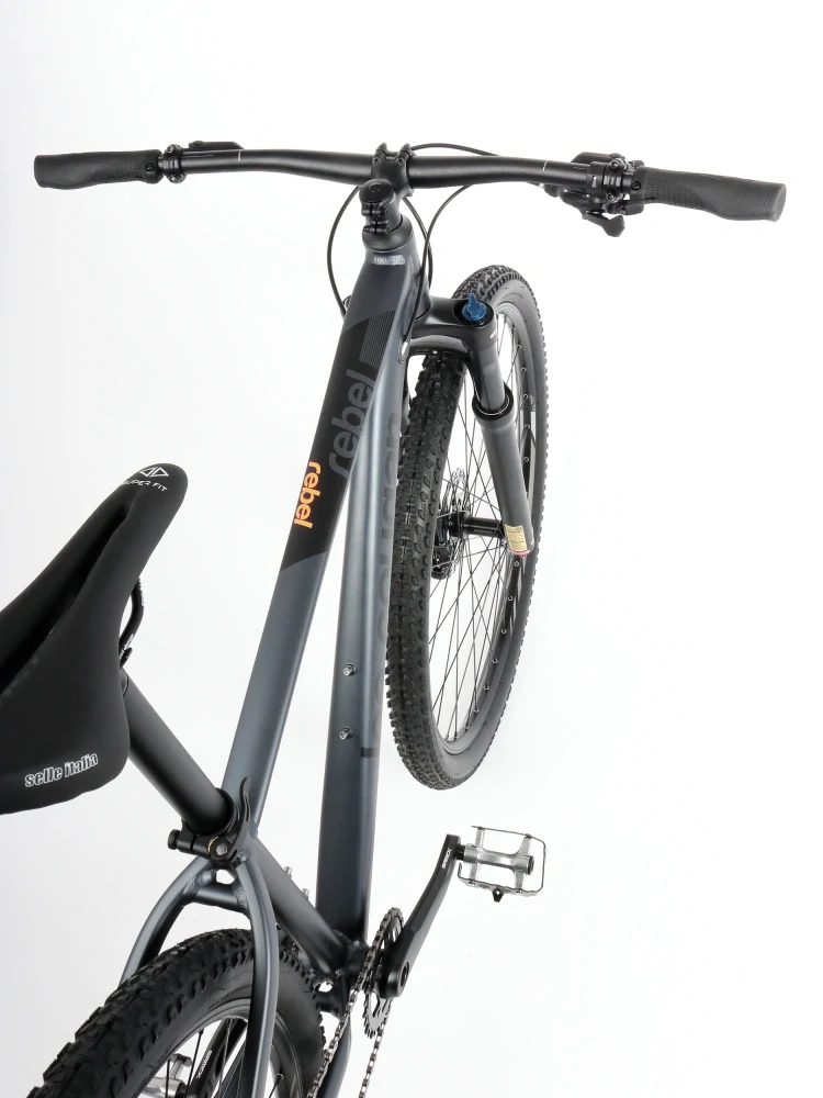 Lee Cougan 29" Rebel Sram SX Eagle 1x12 antracit