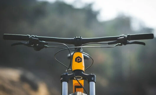 Polygon SISKIU D6 ORANGE 29"