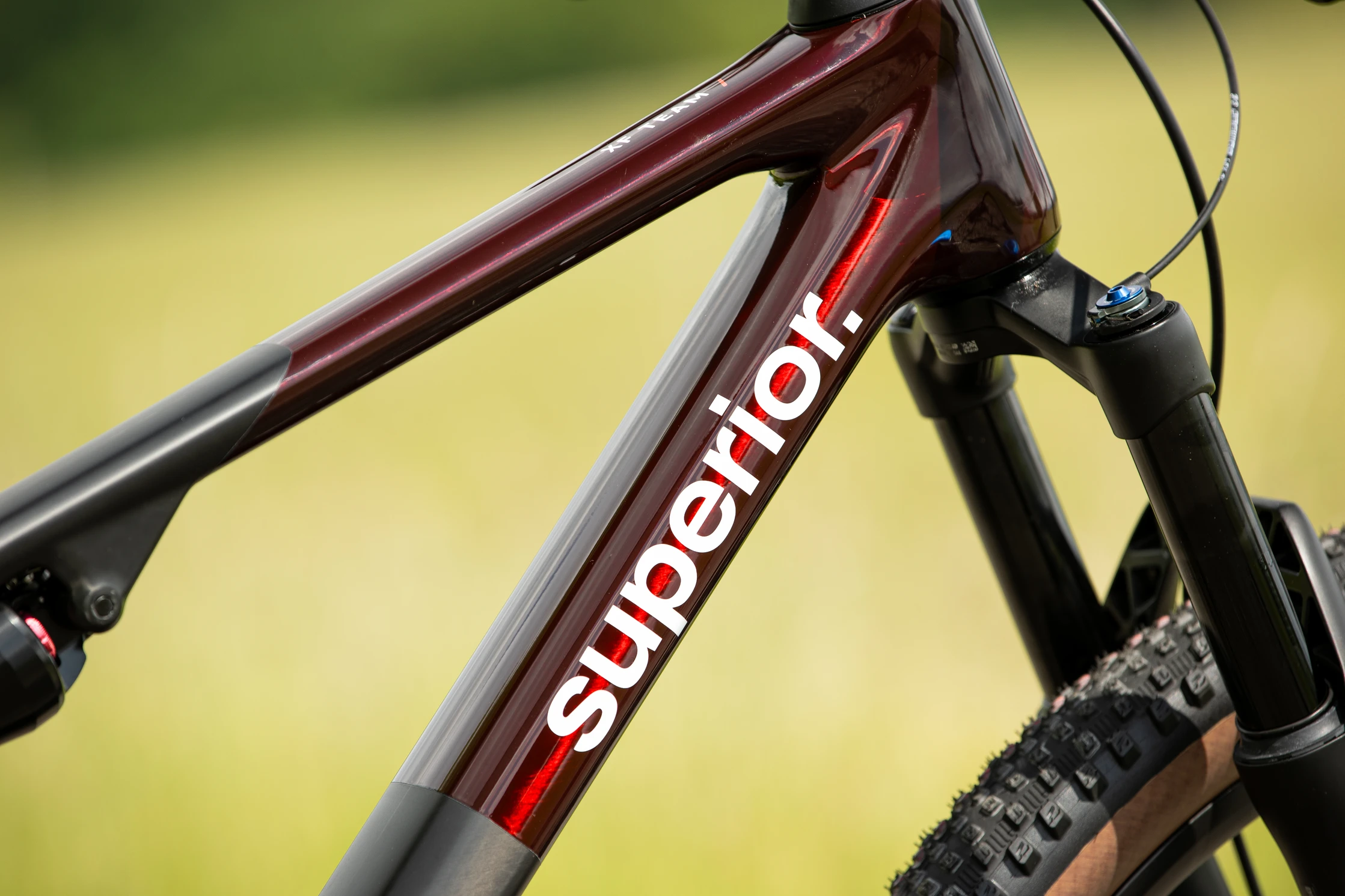 Superior XF 9.9 Team / Gloss Carbon / Red Carbon