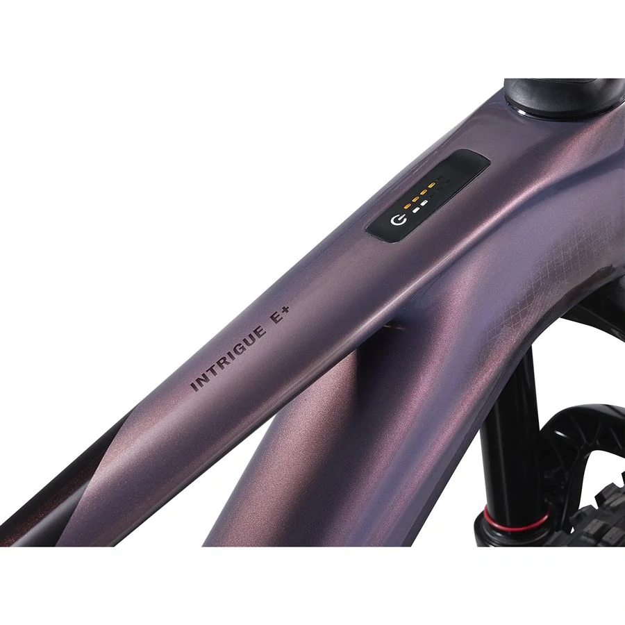 Giant Intrigue X Advanced E+ EL 3 Mirage/Cordovan