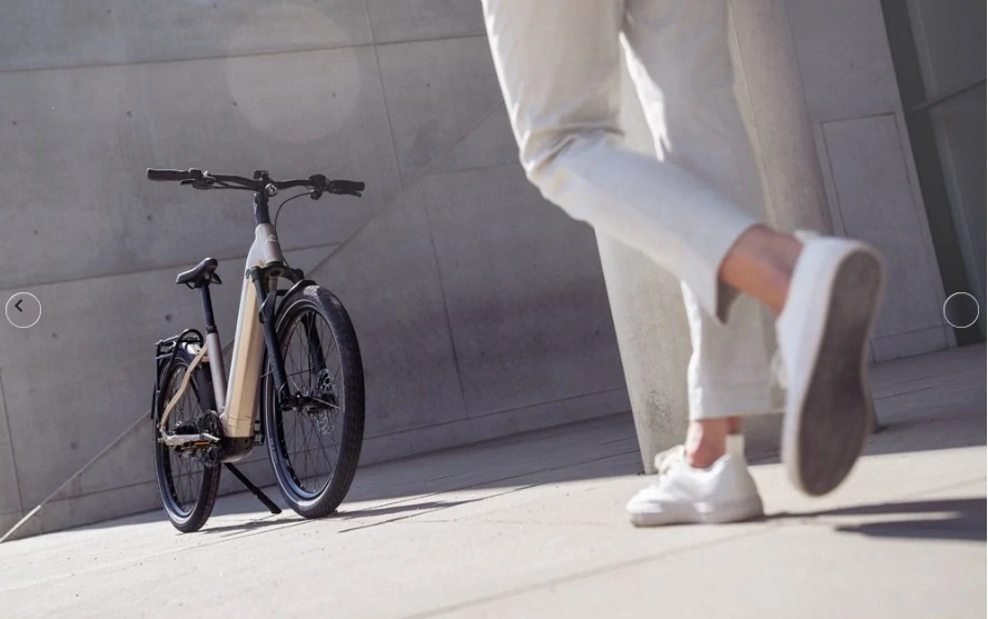 STEPPENWOLF Transterra Easy 9.0 DJI champagne gloss