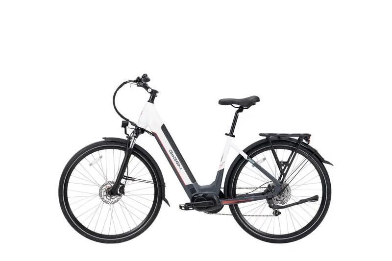 Elektrokolo GoGEN Salta MX 720 28" šedé/bílé