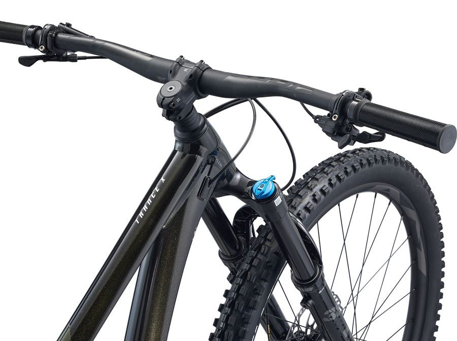 Giant Trance X 29 1 Panther M24
