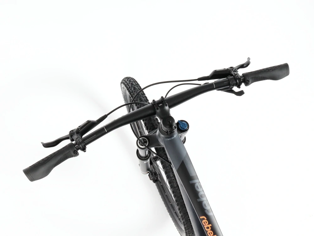 Lee Cougan 29" Rebel Sram SX Eagle 1x12 antracit