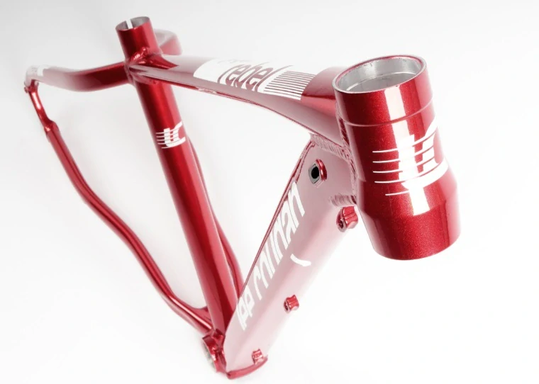 Rám MTB 29" Lee Cougan Rebel