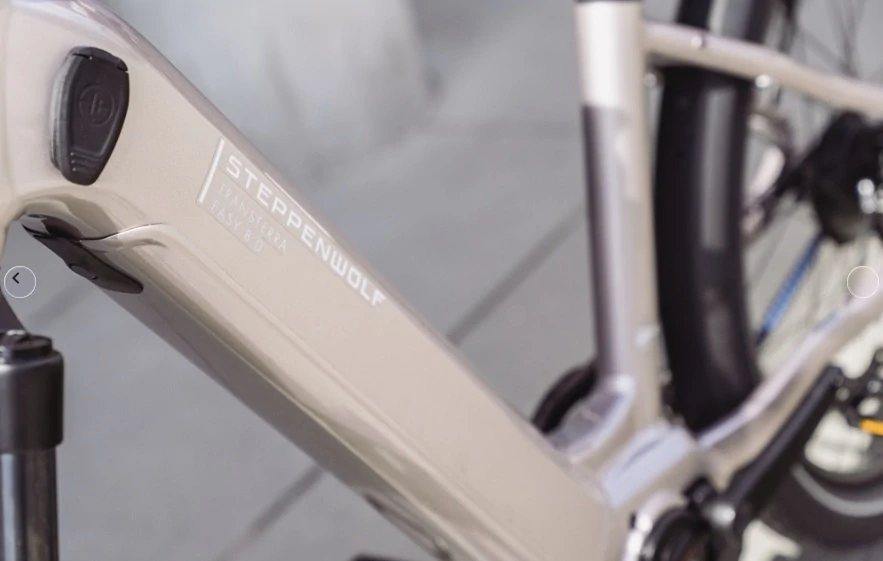 STEPPENWOLF Transterra Easy 9.0 DJI champagne gloss