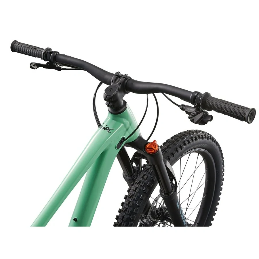Giant Faith 24-Liv Neo Mint